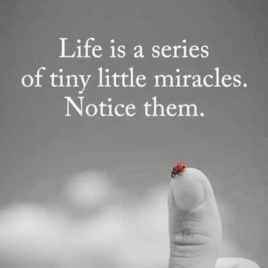 TrainingMindful's tweet image. #miracles #life