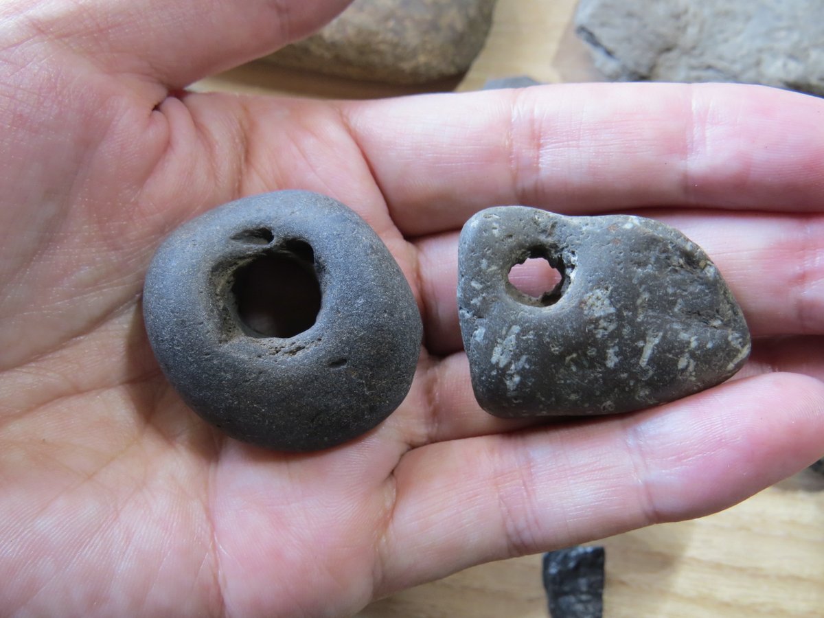 偽石器と判断した4石。穴開きは穴内部に凹凸があって人為的にあけた孔