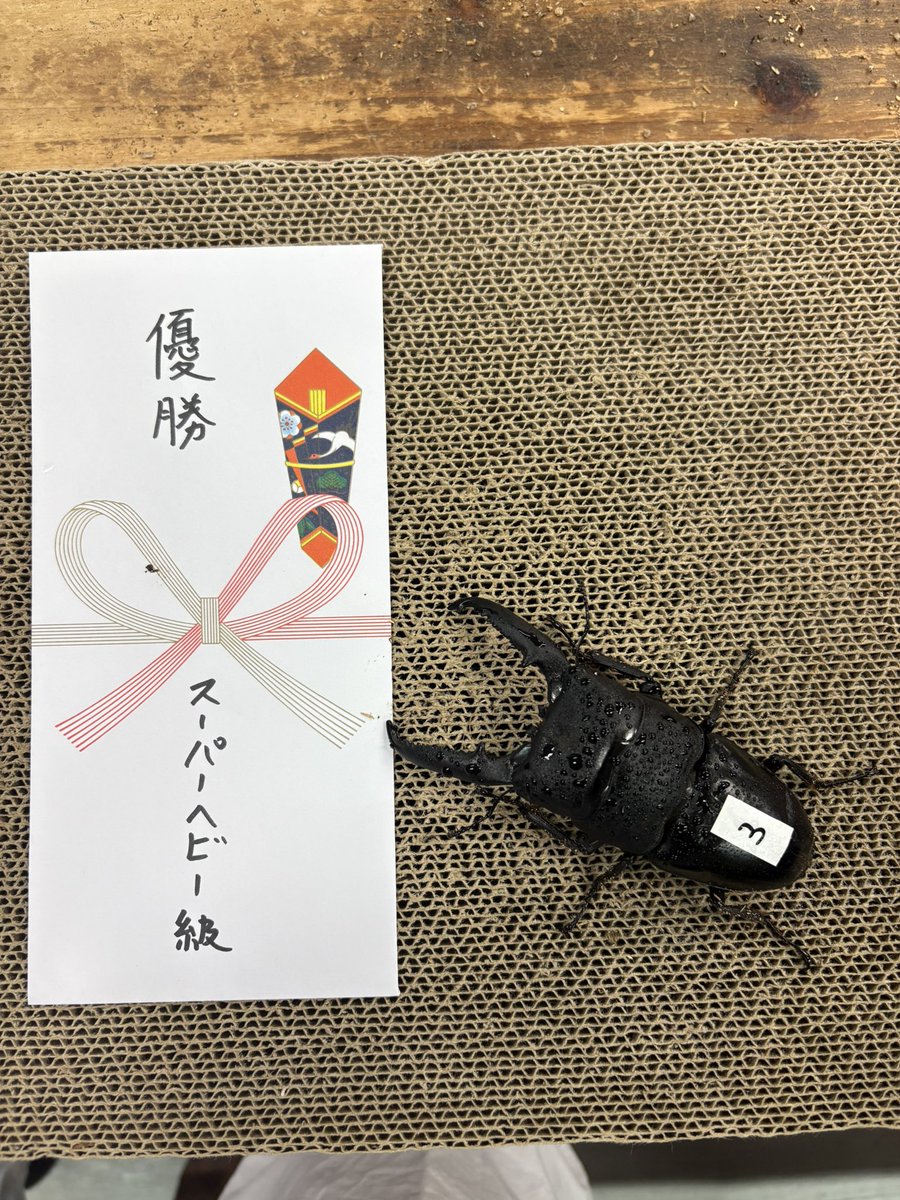 K.【ミヤモト】 tweet media