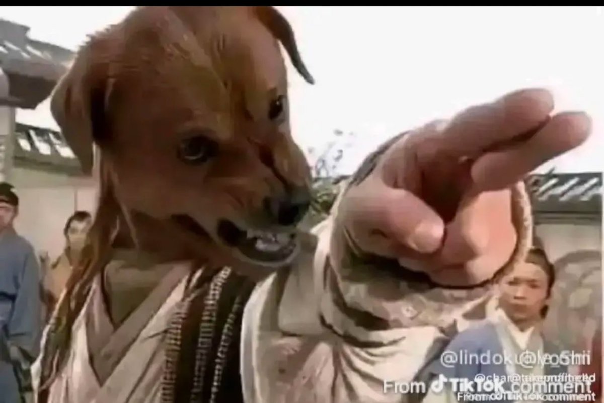 Agrobabe 🇸🇳 tweet media