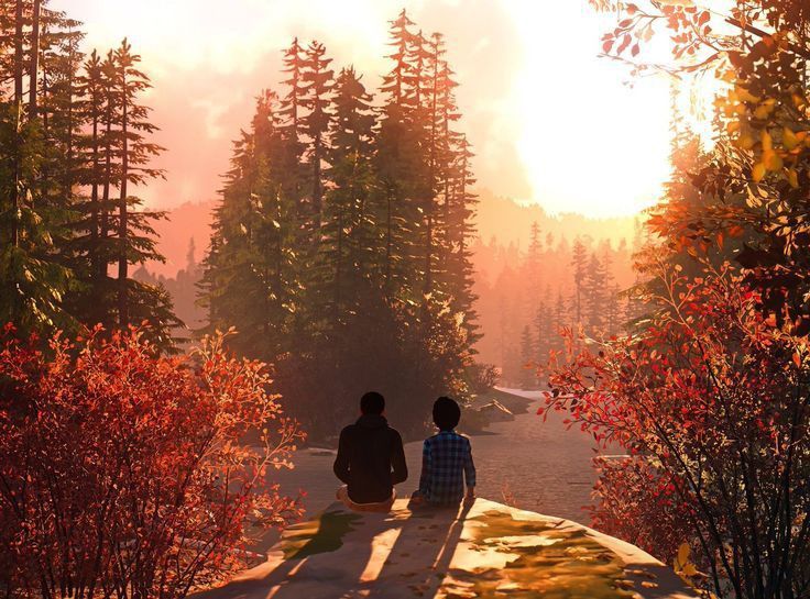 ซีไอบี🏳️‍🌈🐿️🐬🪐🌻 tweet media