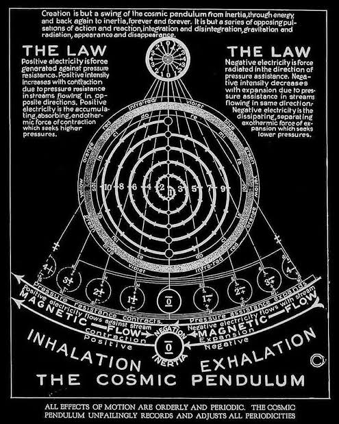 Shelly d'Inferno tweet media