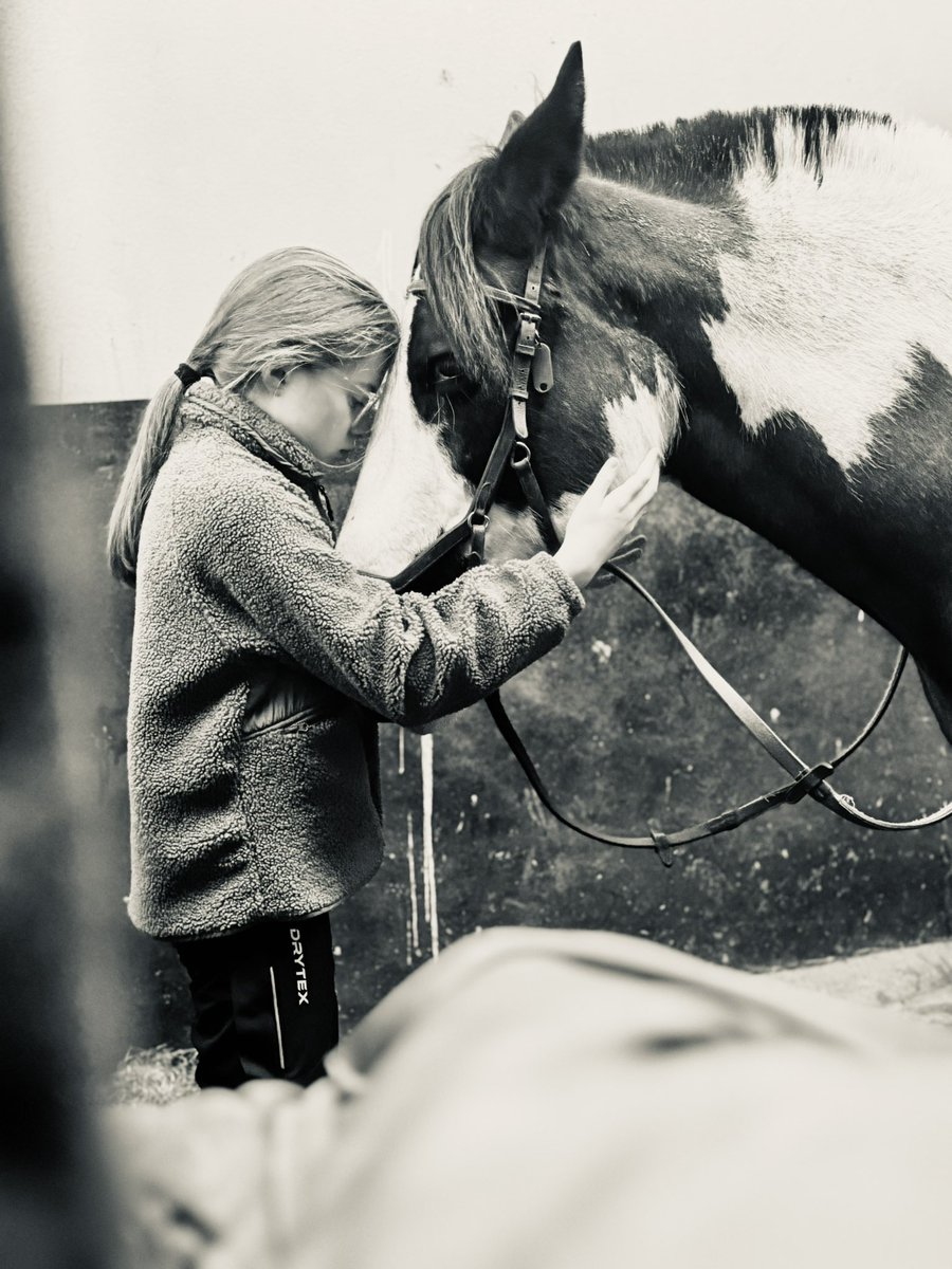 Alexander tweet media