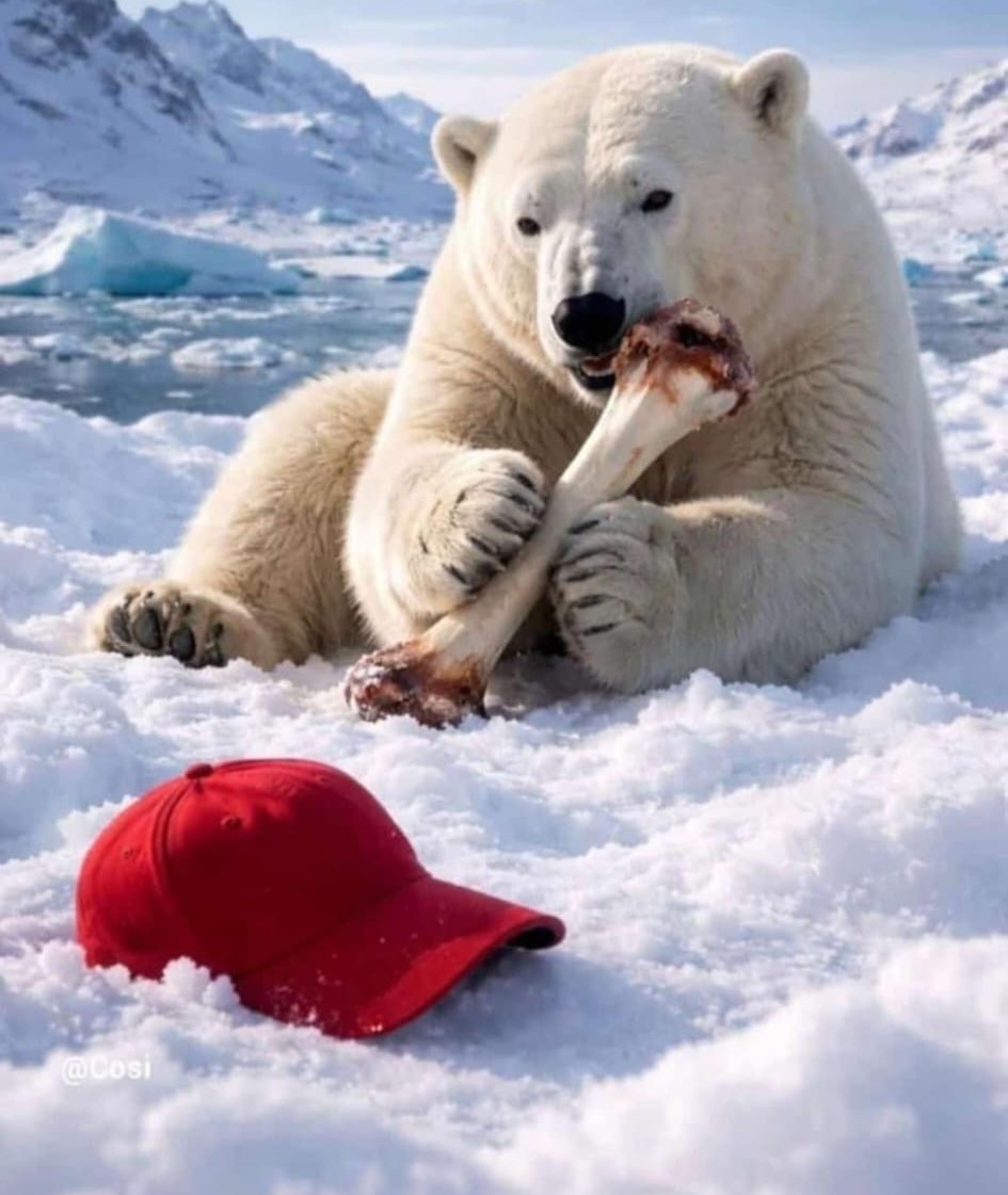 OLIVER LANDMANN tweet media