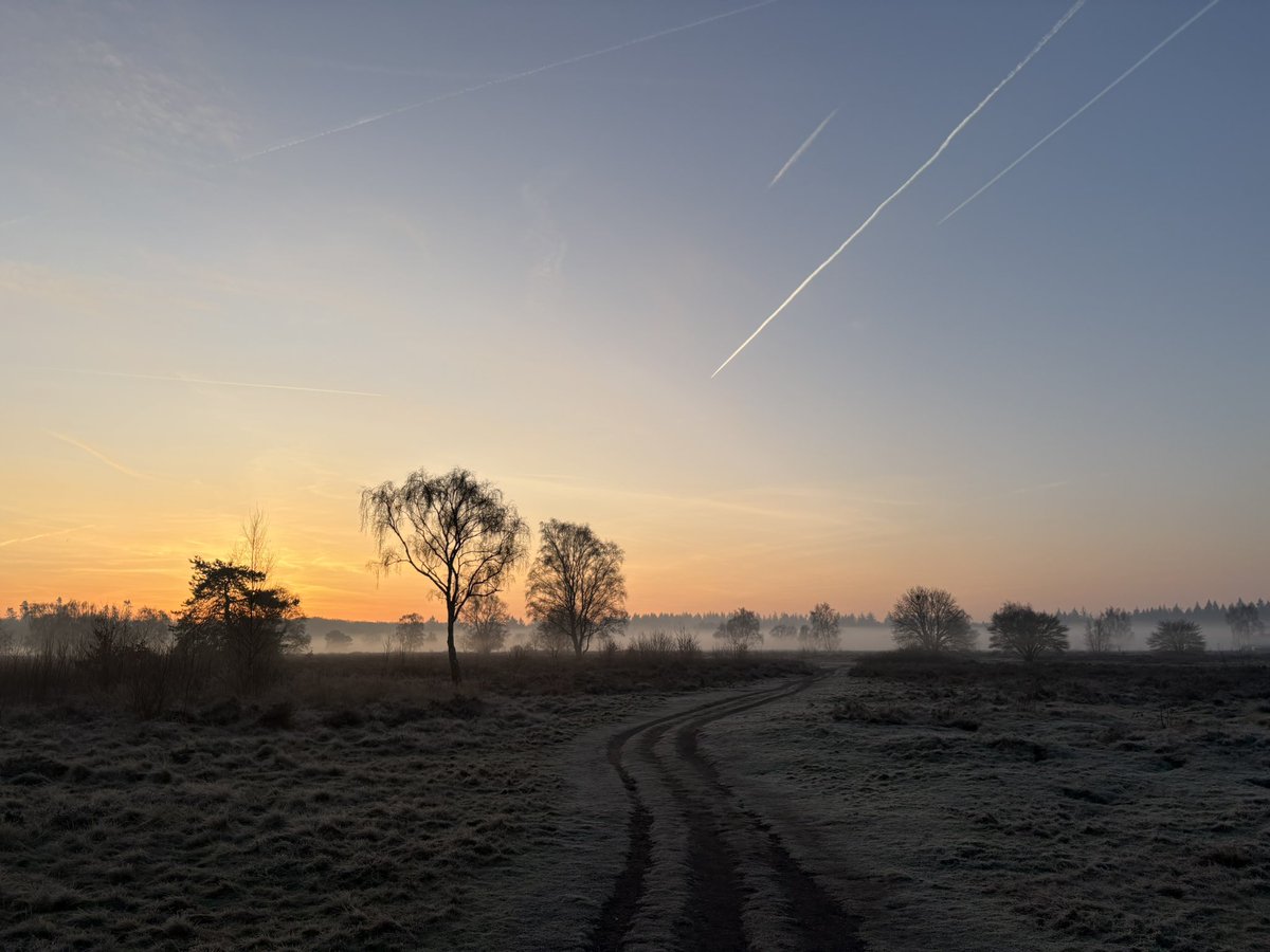 08.00 uur Zondagochtendrondje #GroevenbeekseHeide #Ermelo 1/3 #pp