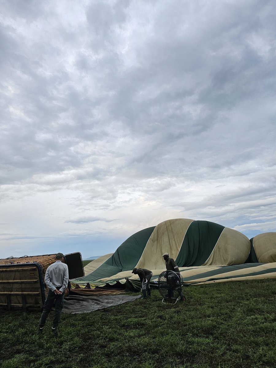 Stejos_Tours's tweet image. This is Tanzania…home of endless plains, majestic elephants, elegant giraffes, and unforgettable moments.

Your Serengeti National Park adventure awaits 

#Serengeti #AdventureAwaits #TravelWithUs