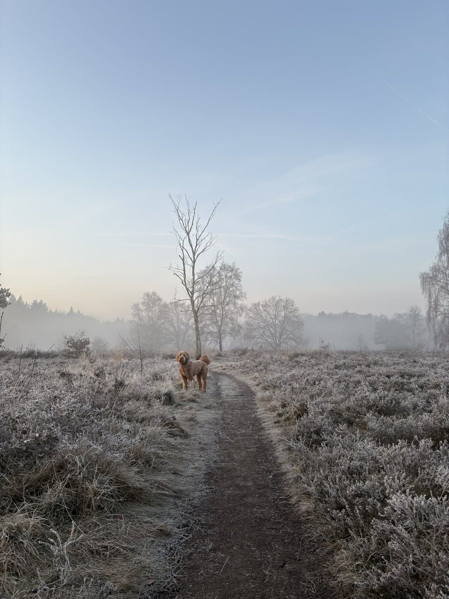 08.00 uur Zondagochtendrondje #holger #GroevenbeekseHeide #Ermelo