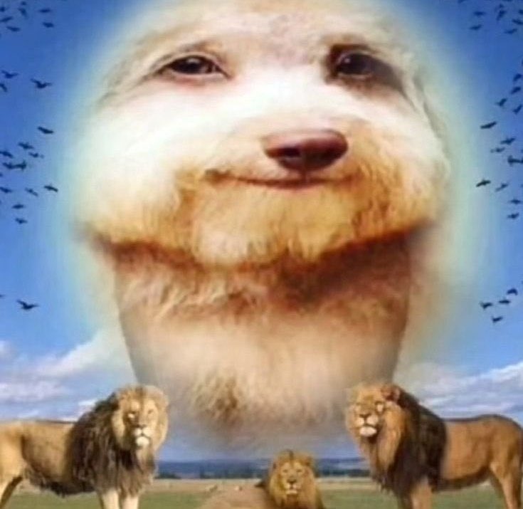 não sei como minha imunidade aguenta o estilo de vida que eu adoto aos finais de semana juro pqp kkkkk