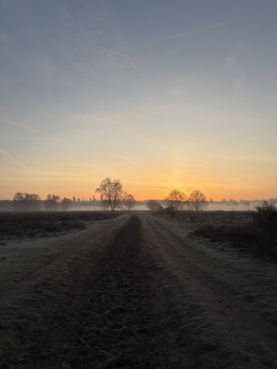 08.00 uur Zondagochtendrondje #GroevenbeekseHeide #Ermelo 2/3 #pp