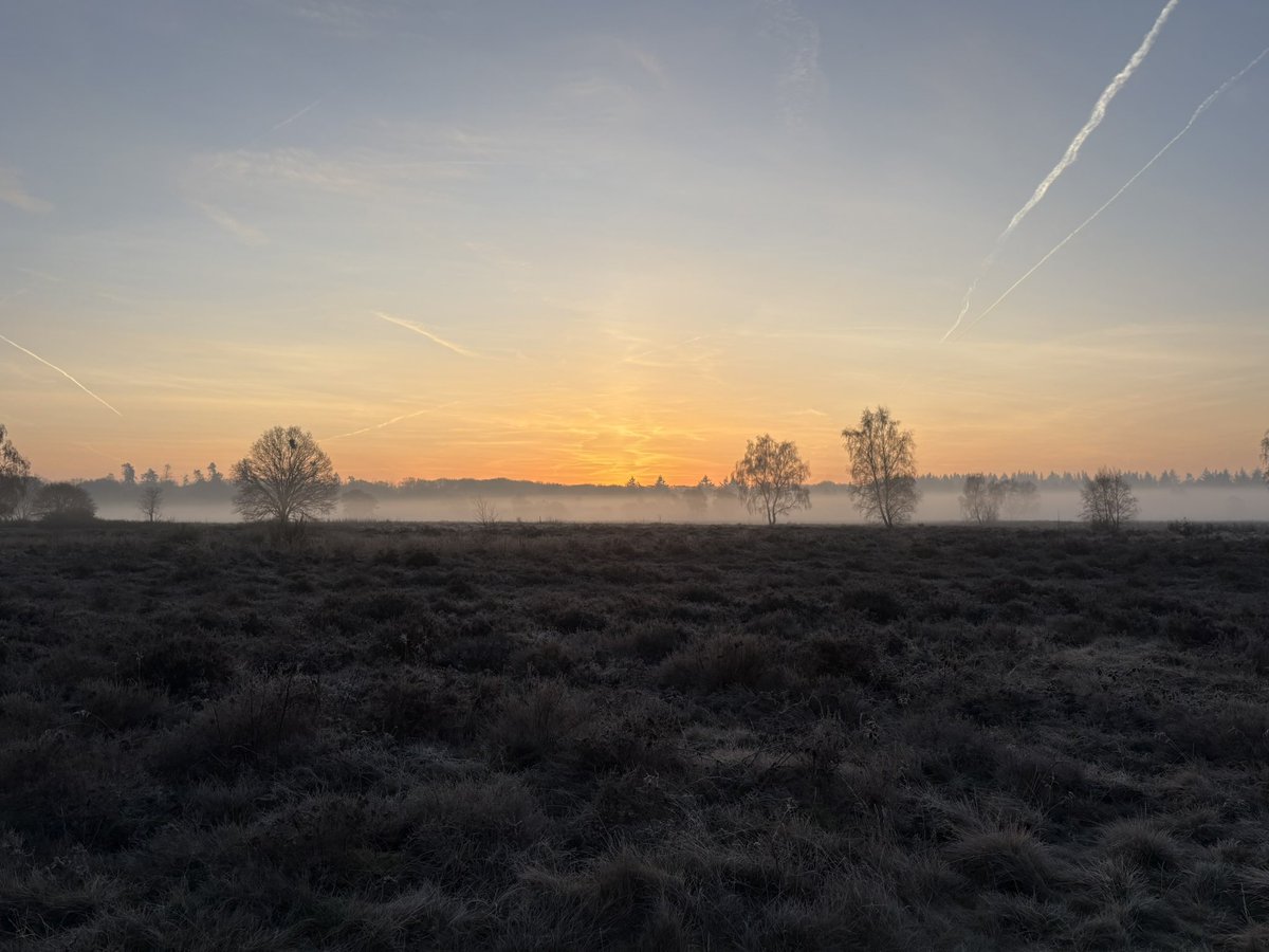 08.00 uur Zondagochtendrondje #GroevenbeekseHeide #Ermelo 3/3 #pp