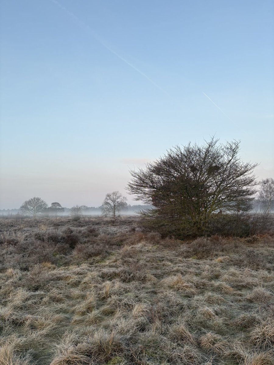 08.00 uur Zondagochtendrondje #GroevenbeekseHeide #Ermelo #pp