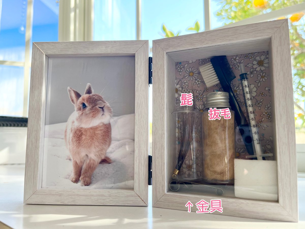 チビ太(CHIBITA🐰)のママ太 (@piccolocibi) / Posts / X