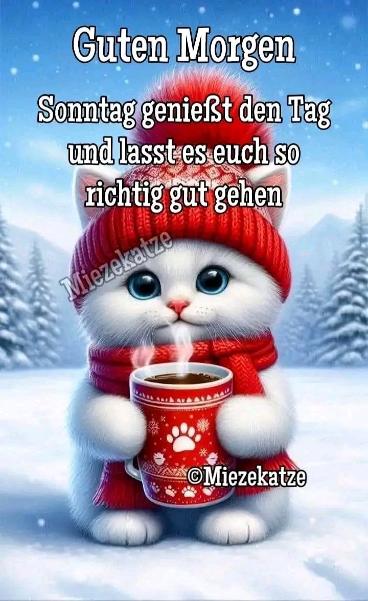 Schönen guten Morgen ☕️