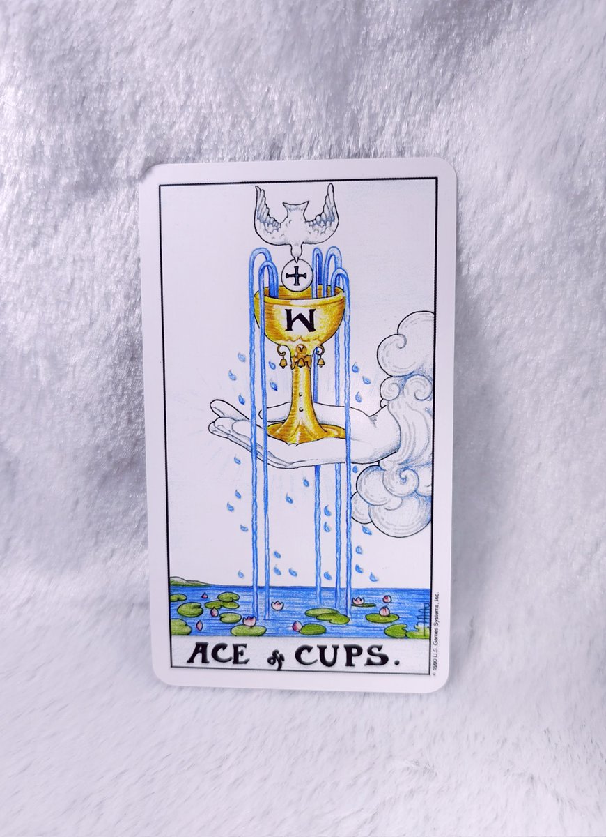 Random for u🩷🌷

สำหรับคนโสดที่ต้องการใครสักคน พลังงานความรักของคุณกำลังขยับไปในทิศทางที่สดใสขึ้นเรื่อยๆ จักรวาลกำลังปรับจังหวะให้คุณได้เจอกับคนที่ทำให้รู้สึกดี เสน่ห์ของคุณกำลังทำงานจากความเป็นตัวของตัวเอง และนี่แหละคือสิ่งที่ทำให้ใครบางคนรู้สึกอยากเข้ามาใกล้คุณ