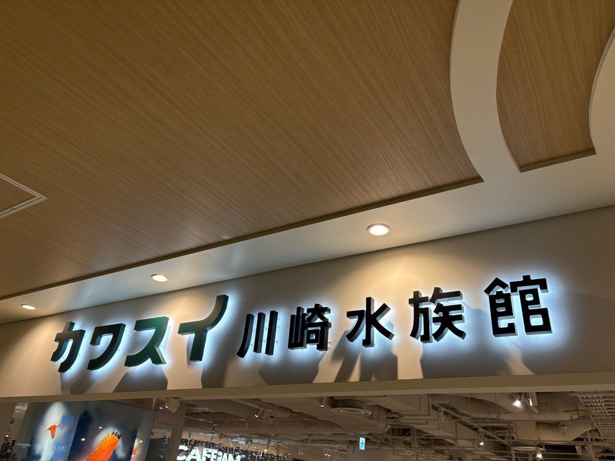 家族サービス兼ねカワスイへ
イベントや古いマニアお馴染みのあの方にご案内頂いてしまいました🙇久々にお話出来楽しいひとときに。駅からすぐという立地は魅力的ですね。個人では規模的に難しい種の繁殖もここなら出来てしまうのではとひっそり思いました☆

#カワスイ