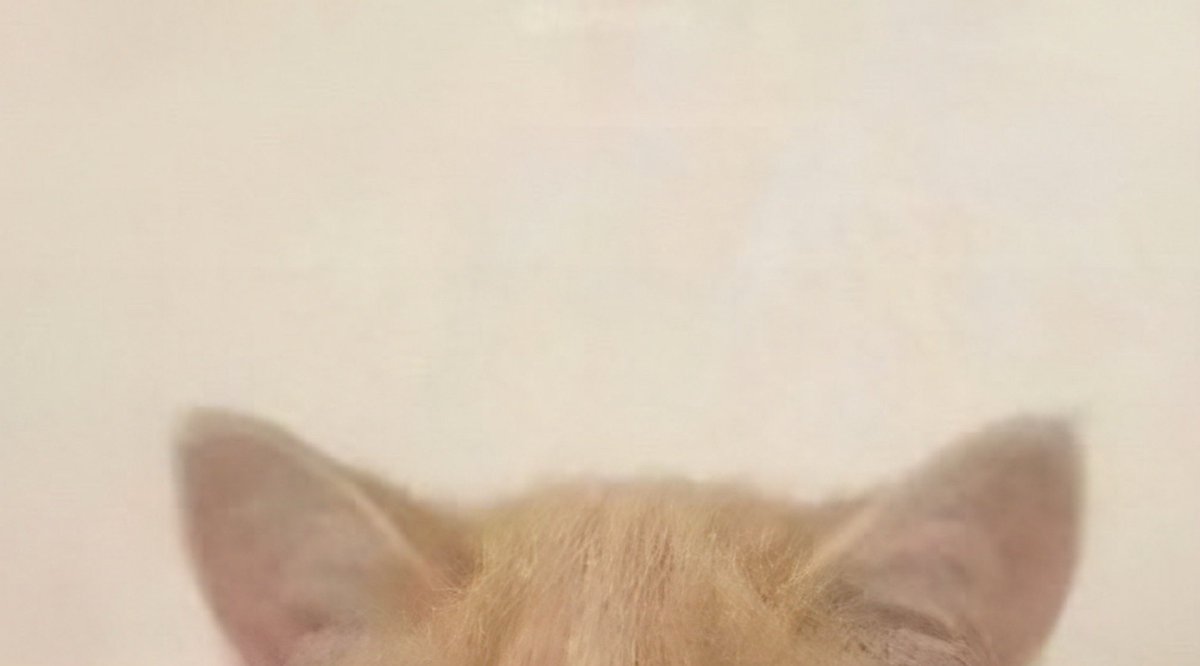 CORTIS_CUTECLUB's tweet image. ⠀⠀⠀⣠⠤⣄⣀⣠⠤⣄⠀⠀⠀
⠀⠀⠀⡼⢡⠖⢦⠉⡴⠲⡌⢧⠀⠀
⠀⡴⢋⣁⡘⢦⠾⠀⠷⡴⢃⣈⡙⢦
⠰⡇⢯⠀⡷⠀⢠⠤⣄⠀⢾⠀⡽⢸
⠀⠹⢬⠉⢁⡴⠋⠀⠘⢦⡈⠉⡥⠏
⠀⠀⠘⣆⠘⢧⣤⠤⣤⡼⠃⣰⠃⠀
⠀⠀⠀⠈⠳⢤⣀⣀⣀⡤⠖⠁
      ౨ৎ
      🐾🐾   #SEONGHYEON #성현