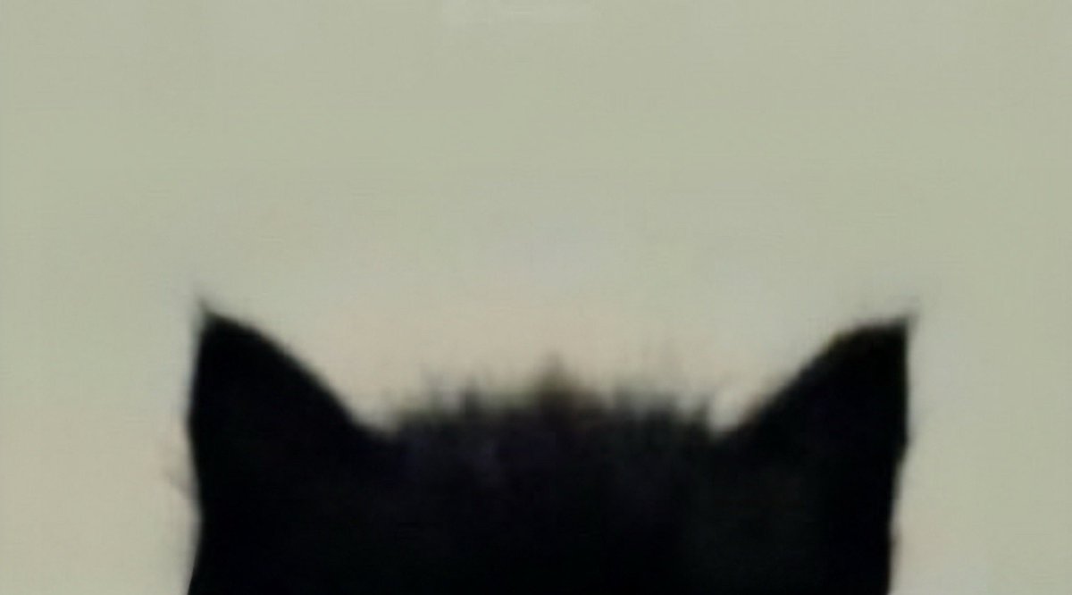 CORTIS_CUTECLUB's tweet image. ⠀⠀⠀⣠⠤⣄⣀⣠⠤⣄⠀⠀⠀
⠀⠀⠀⡼⢡⠖⢦⠉⡴⠲⡌⢧⠀⠀
⠀⡴⢋⣁⡘⢦⠾⠀⠷⡴⢃⣈⡙⢦
⠰⡇⢯⠀⡷⠀⢠⠤⣄⠀⢾⠀⡽⢸
⠀⠹⢬⠉⢁⡴⠋⠀⠘⢦⡈⠉⡥⠏
⠀⠀⠘⣆⠘⢧⣤⠤⣤⡼⠃⣰⠃⠀
⠀⠀⠀⠈⠳⢤⣀⣀⣀⡤⠖⠁
      ౨ৎ
      🐾🐾   #SEONGHYEON #성현