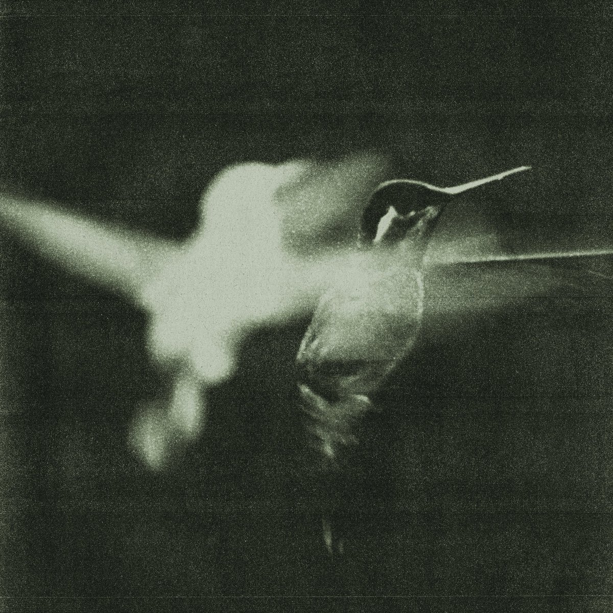 wingsofdesir3's tweet image. under a sky it waits for you
in everything you ever wanted 
your everlasting bruise

it breathes you in 
when you are low 
don’t let it take 
cos you don’t need it 
your everlasting blues 

i heard you whisper