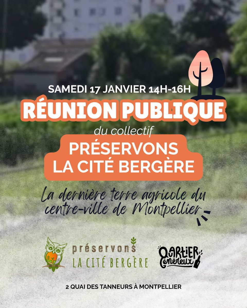 Thierry TEULADE 🌻🚴‍♀️🐝🌳🎒 tweet media