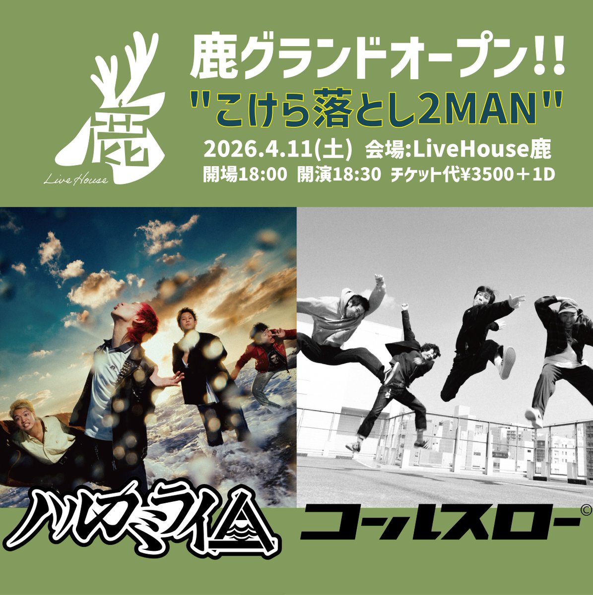 HarukamiraiInfo's tweet photo. 【LiveHouse鹿 こけら落とし企画に出演決定！】

2026.4.11[sat] LiveHouse鹿 (山梨)
鹿グランドオープン!!
「こけら落とし2MAN」

コールスロー
ハルカミライ

OPEN 18:00 / START 18:30
adv¥3,500
＊入場時IDチェックあり

🎫LivePoket 抽選販売受付
https://t.co/FfBKAKTky1
受付期間：〜1.26[mon] 19:00