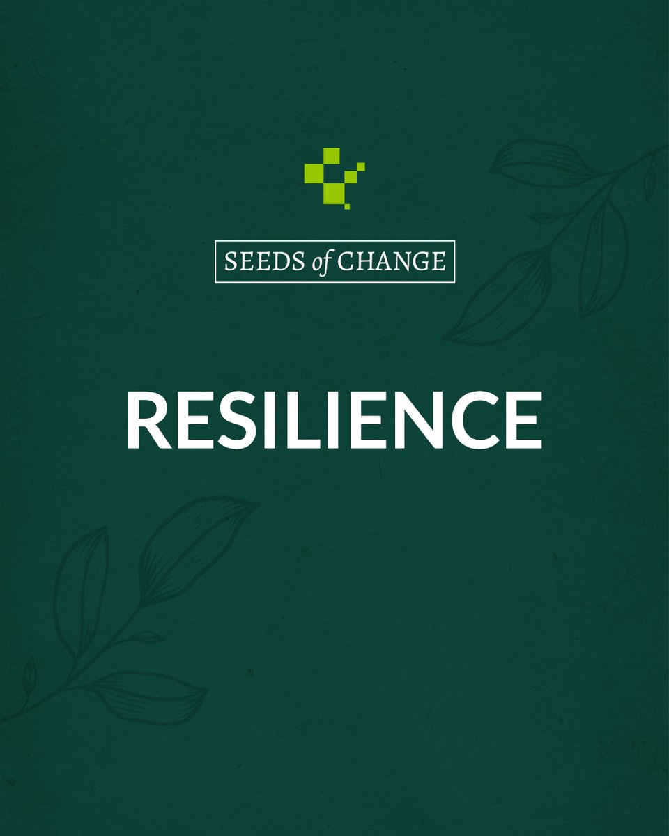 Resilience is the armour for life’s battles; wear it proudly as you grow stronger every day.  

#SeedsOfChange #BounceBack #StrengthInGrowth #LifeArmour