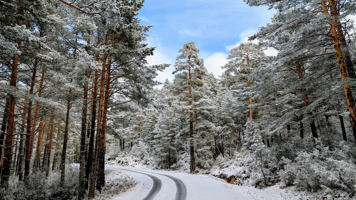 Mejora tras el espectacular algarazo de nieve.
Semana que se va configurando una situación potencialmente explosiva en Urbión, especialmente a partir del jueves:
Intenso flujo del oeste asociado a masas polar marítimas, y borrascas con geopotenciales muy bajos que impactarían