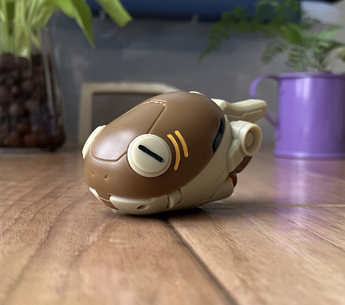 pakamaru17's tweet image. #たまケロ
アズマかわいい！🐸