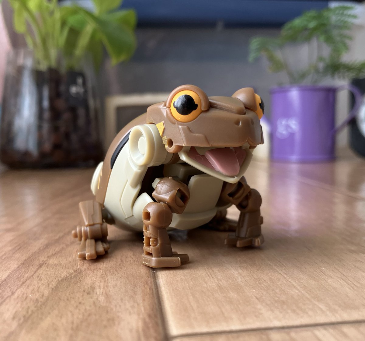 pakamaru17's tweet image. #たまケロ
アズマかわいい！🐸