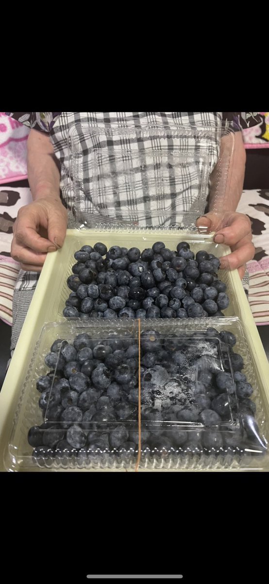 東京に、1坪のスキマは余っていませんか。

秋田でコーヒースタンドを3店舗運営する、
ブルーベリー農家の孫です🫐☕️
コーヒースタンドのお客さまから
「東京にもつくってほしい」と…。

もしいつか東京にお店ができたら、
秋田のばあちゃんのブルーベリーも
一緒に連れていける気がしています。