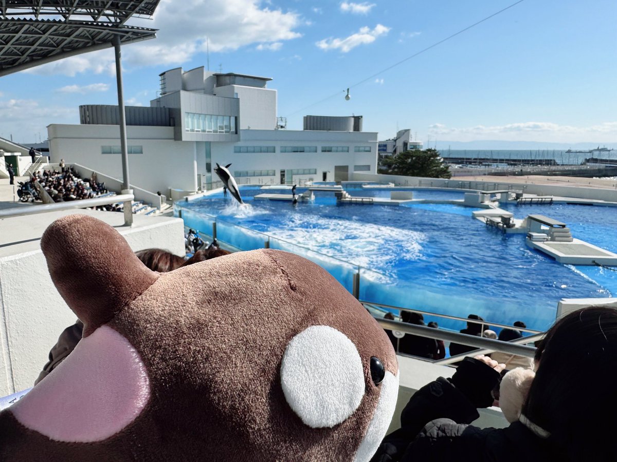 スマシー楽しイルカでした！！
