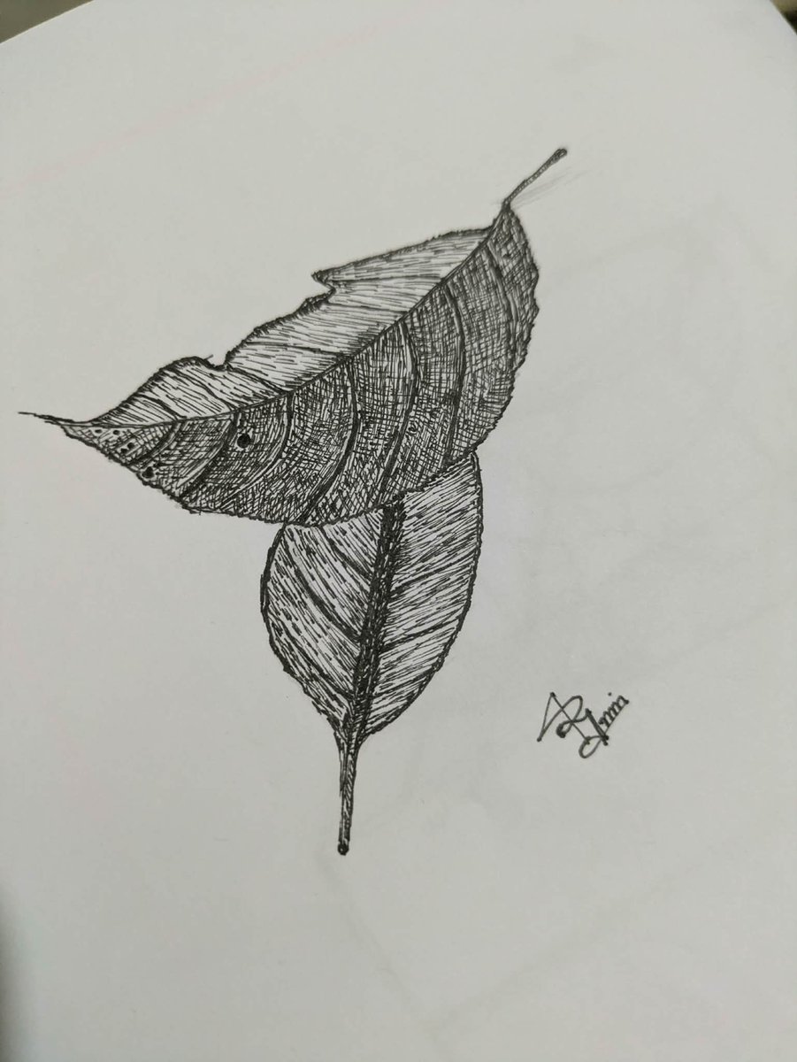 RashadaWrites's tweet image. Have a wonderful day, my friends🍂🍁🍀☀❤💛

#art: Rashada yesmin✍

#leaves #penart #finelinerart
 #artwork #drawing #blackandwhite