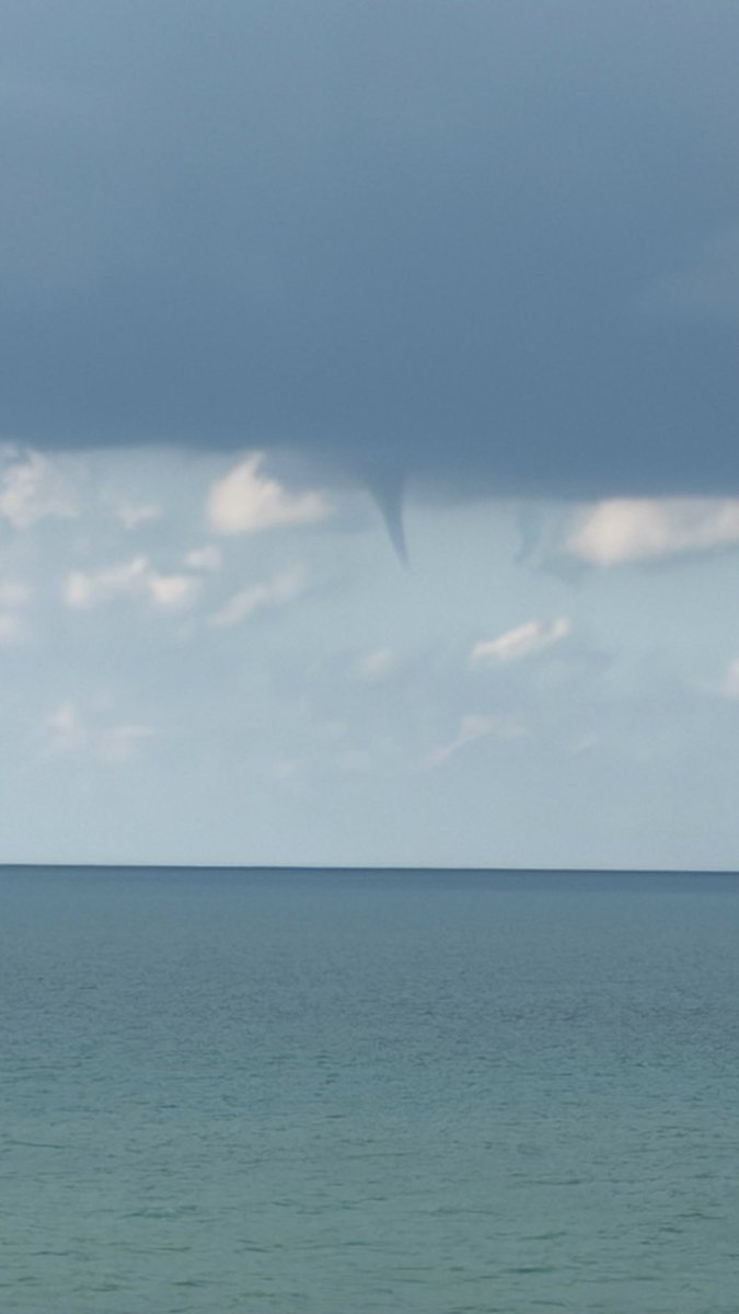 Lucas Adler tweet media