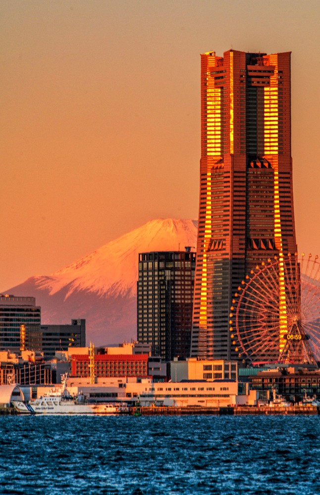 モンセルバン tweet media