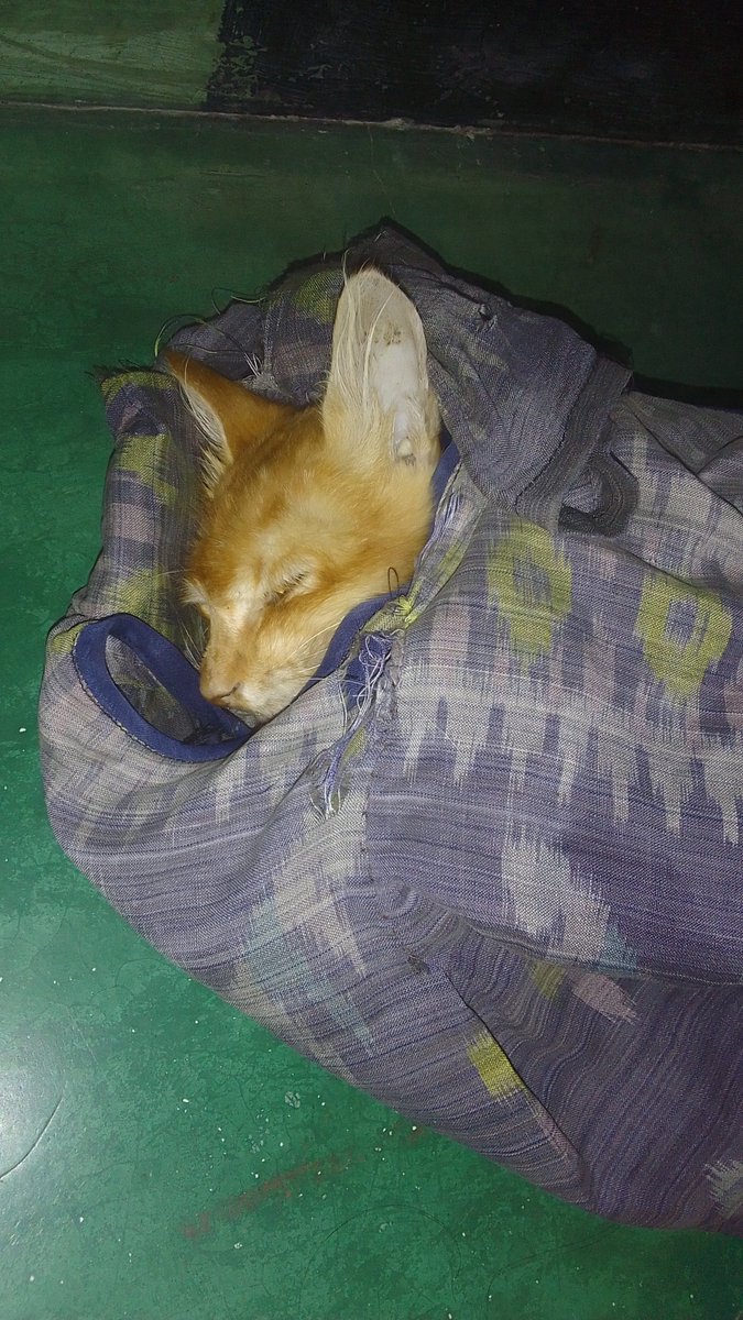 Nyakkk tweet media
