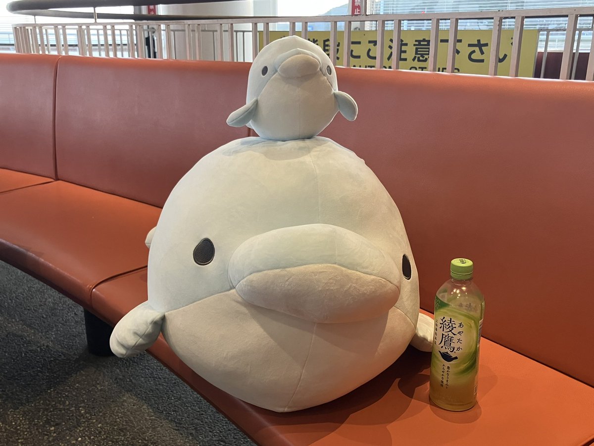 highcollar_tool's tweet image. 大洗楽しかった