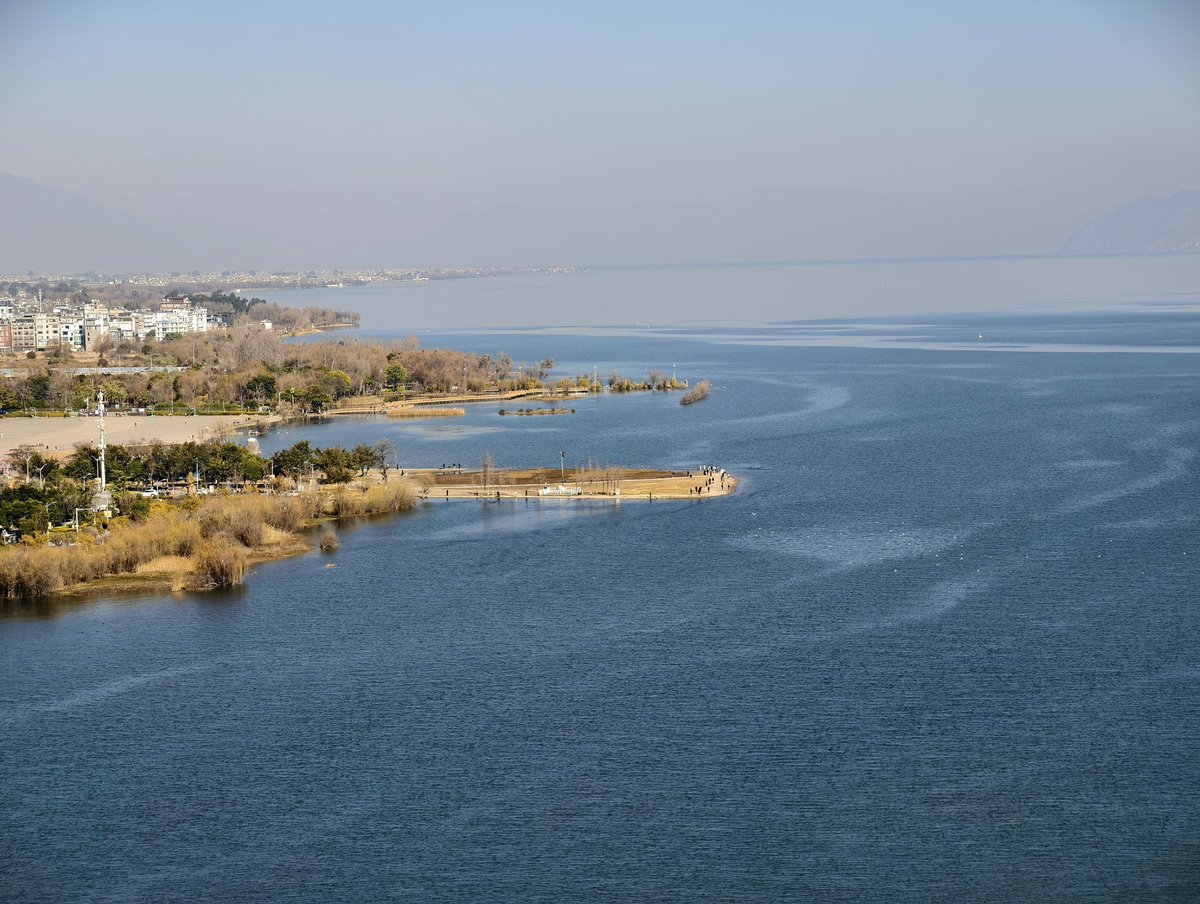 Pak_GZ's tweet image. 洱海很适合牛马来转换心情😇