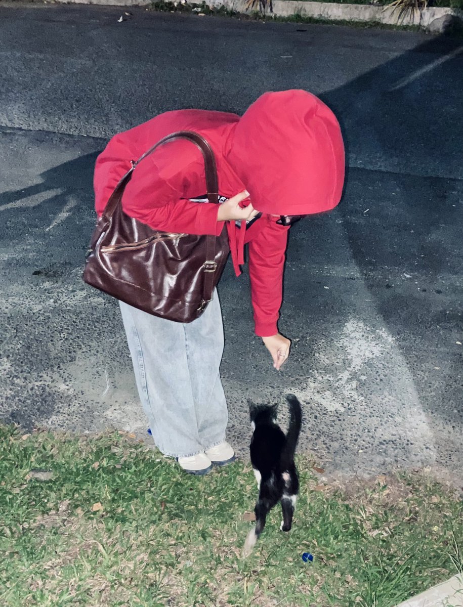 kucing kalo dicariin berasa langka