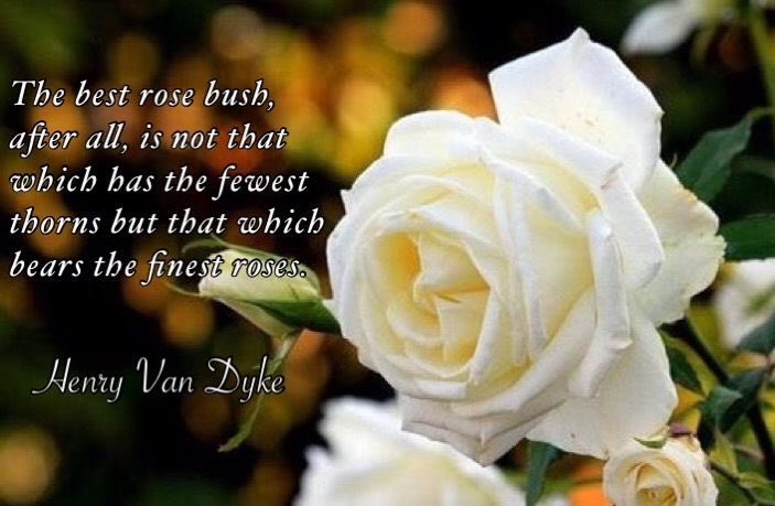 Mani Isna La #IndigenousLivesMatter 🇨🇺🇵🇸🇬🇱 tweet media