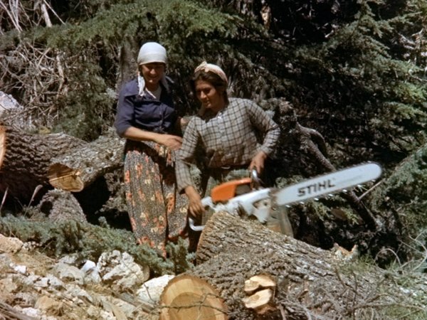 Başak Akgül’ün “Being a Forestry Labourer in the Late Ottoman Empire: Debt Bondage, Migration, and Sedentarization” makalesi, Tahtacı topluluklarını geç Osmanlı taşrasında orman ekonomisinin merkezine yerleştiriyor.