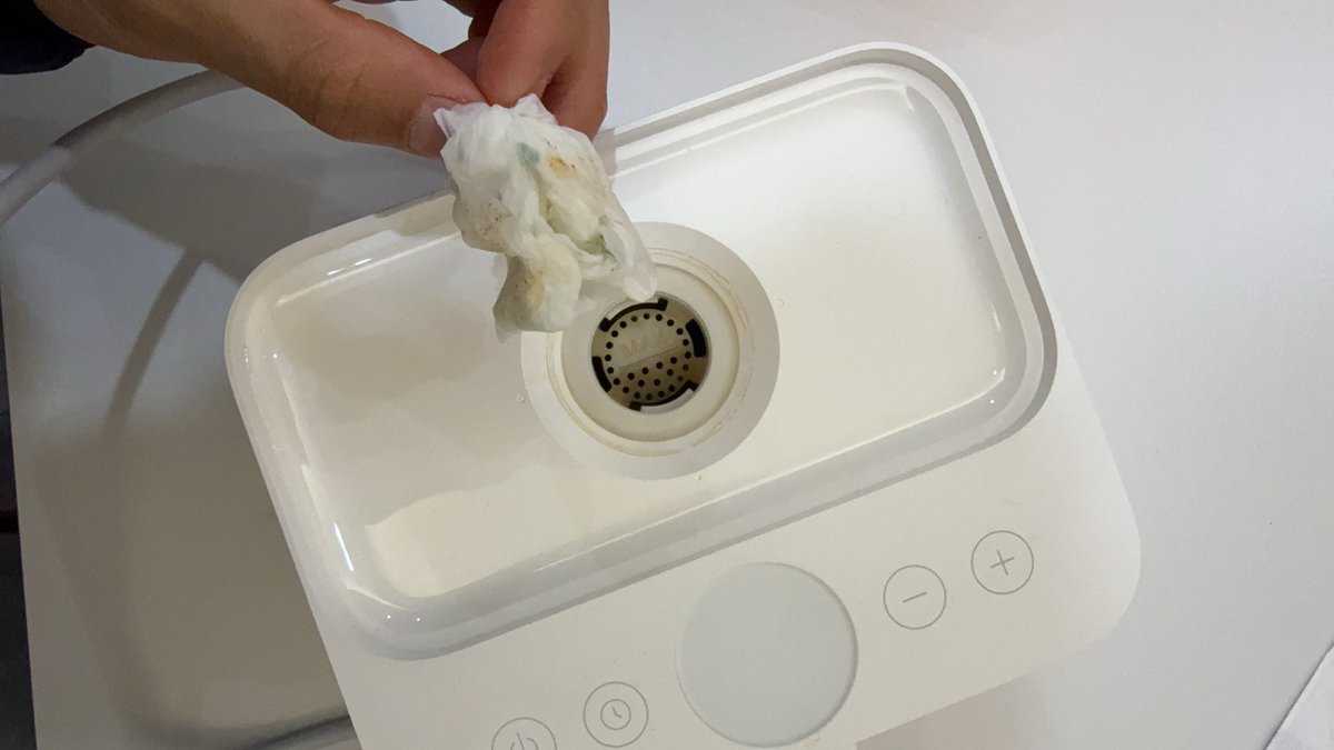 Y｜DAILY tweet media