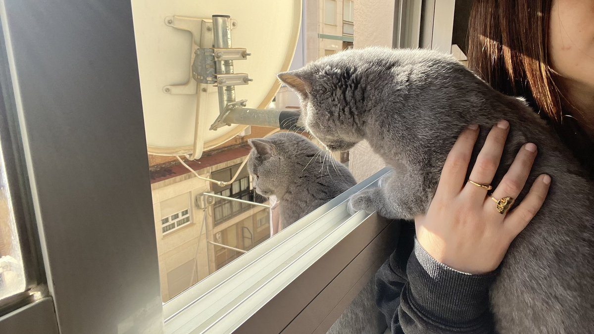 Livewithoutwarn's tweet image. No les puedo querer más 🤍