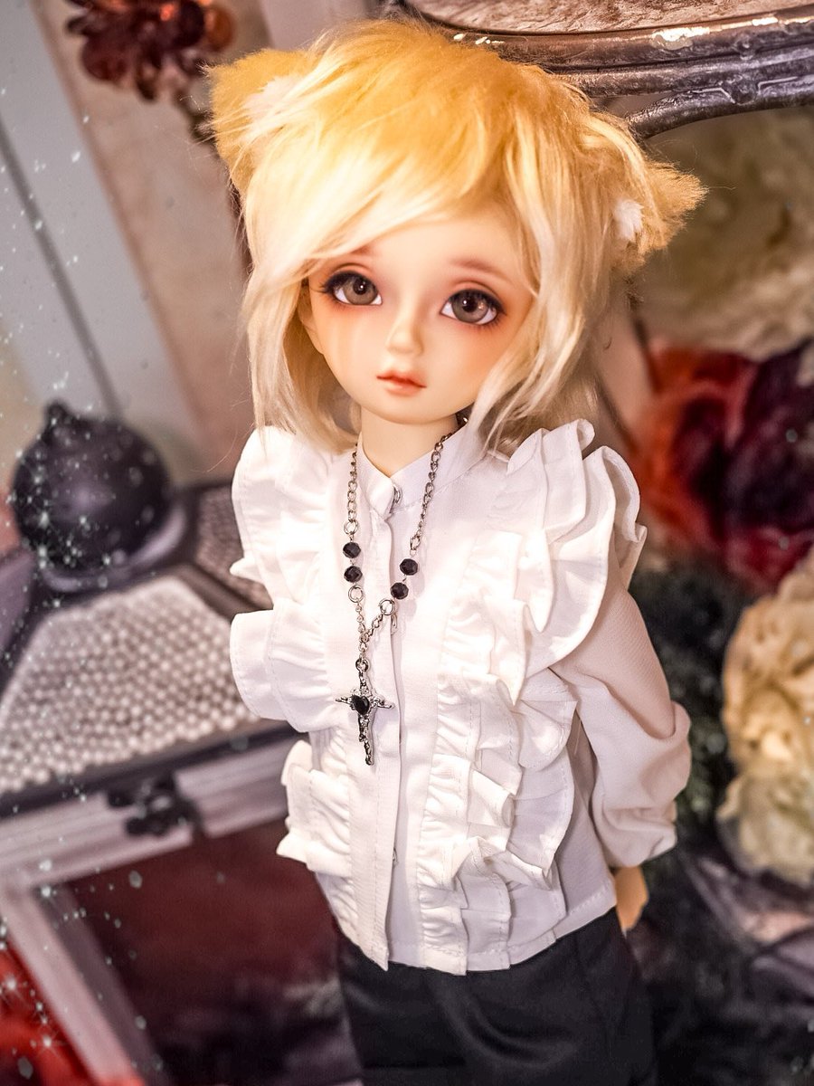 昨年末、友人の家から里子ちゃんがやってきてました。
うちでのお名前は【光夜（ミツヤ）】として可愛がっていきます😌　SDM男の子も可愛いね😳✨
#sdm_f_38