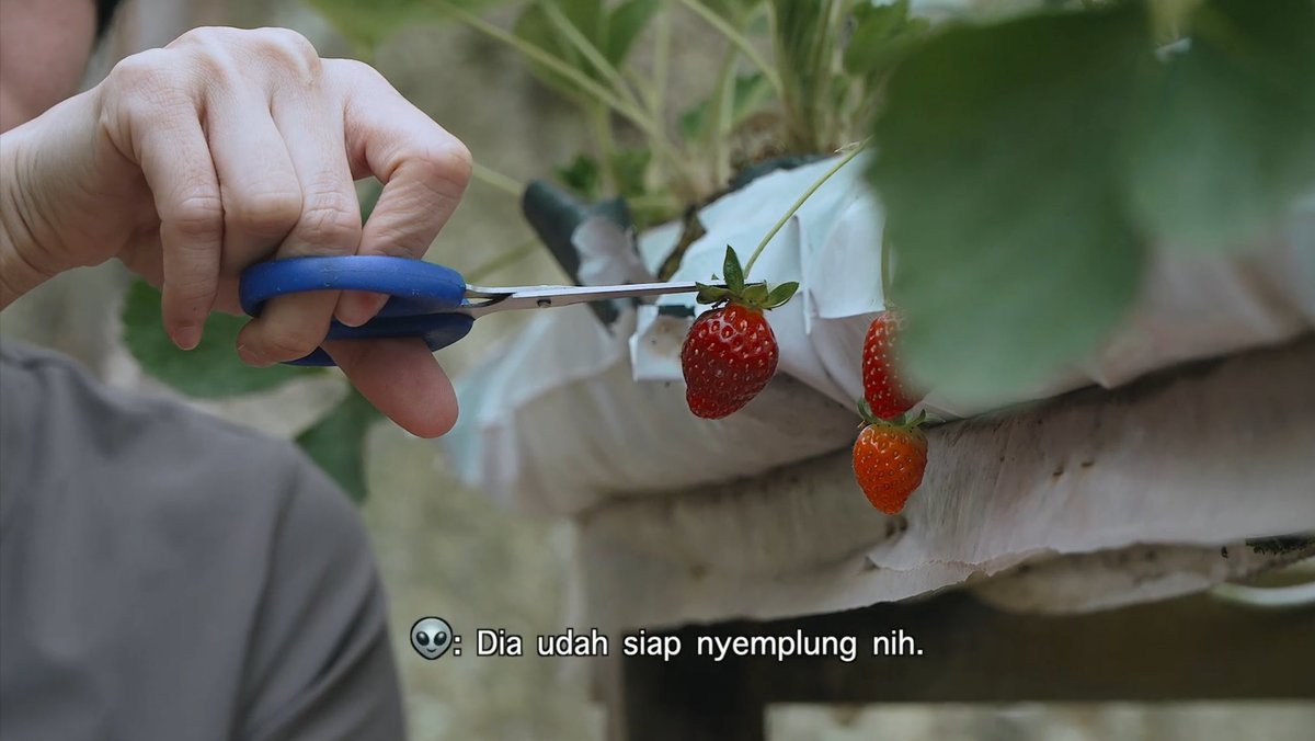 ldhamarati's tweet photo. Ada ruang untuk kita diam berhenti dan bernafas.
Jeda kecil sebelum kembali menghadapi hiruk pikuk sebagai manusia 🙌
#RiaSW https://t.co/Fc5Agri960
