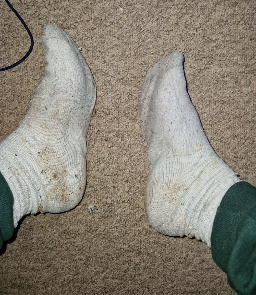 Indy ⭐ tweet media