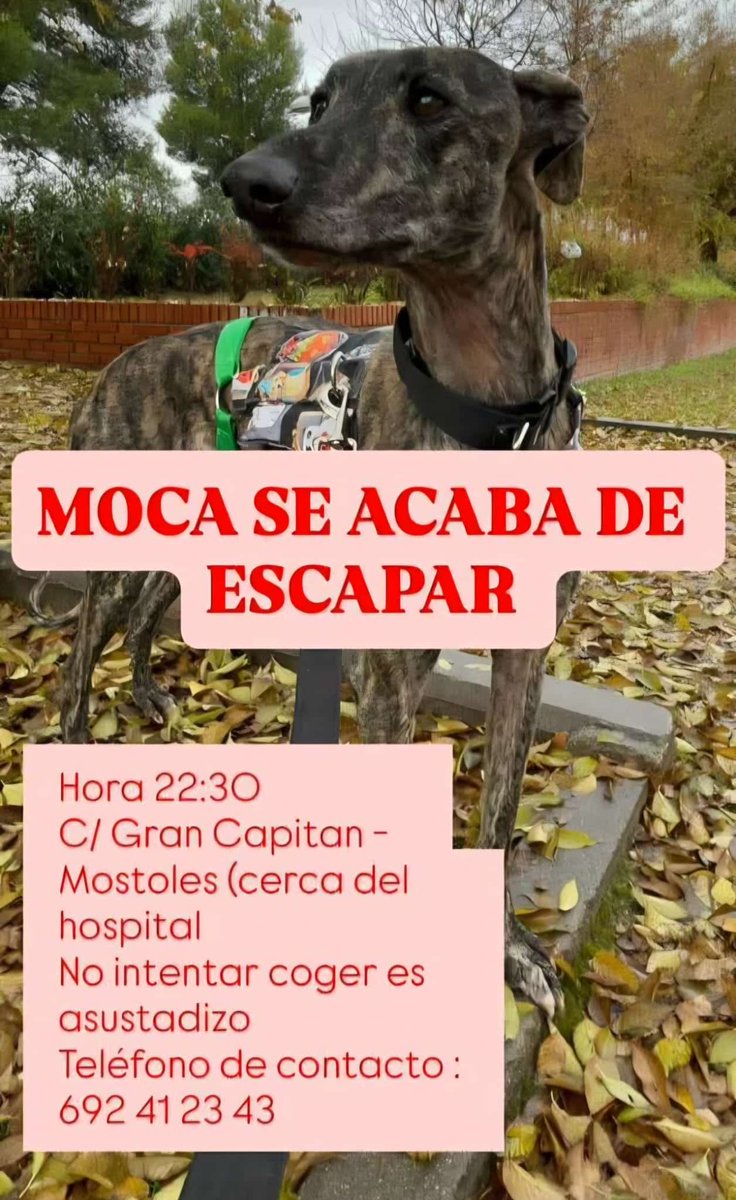 Vecinos Unidos por el PAU4 tweet media