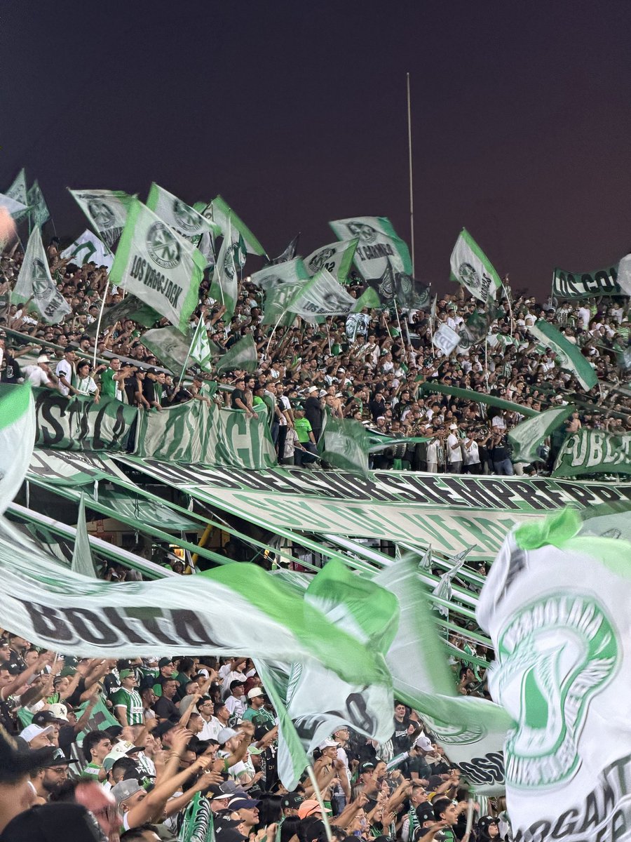 camélia tweet media