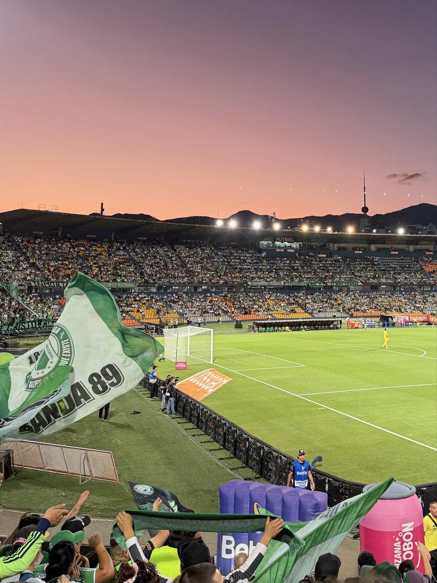 camélia tweet media