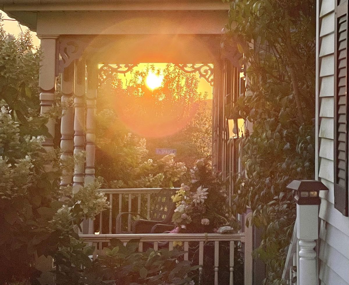 seraphicxc's tweet photo. Sunlight finds home https://t.co/TiUgvCOhHI