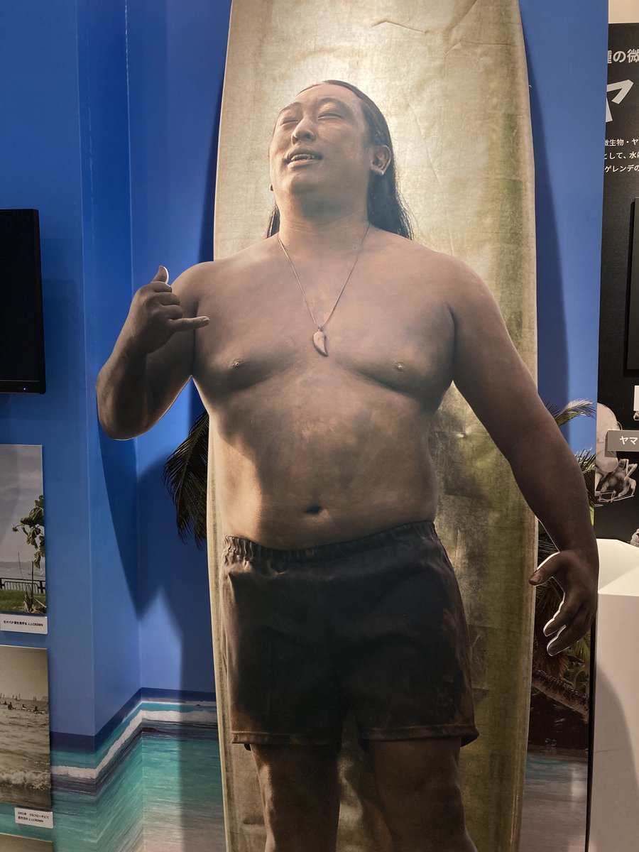 モコの飼い主 (@moconekonyanko) / Posts / X