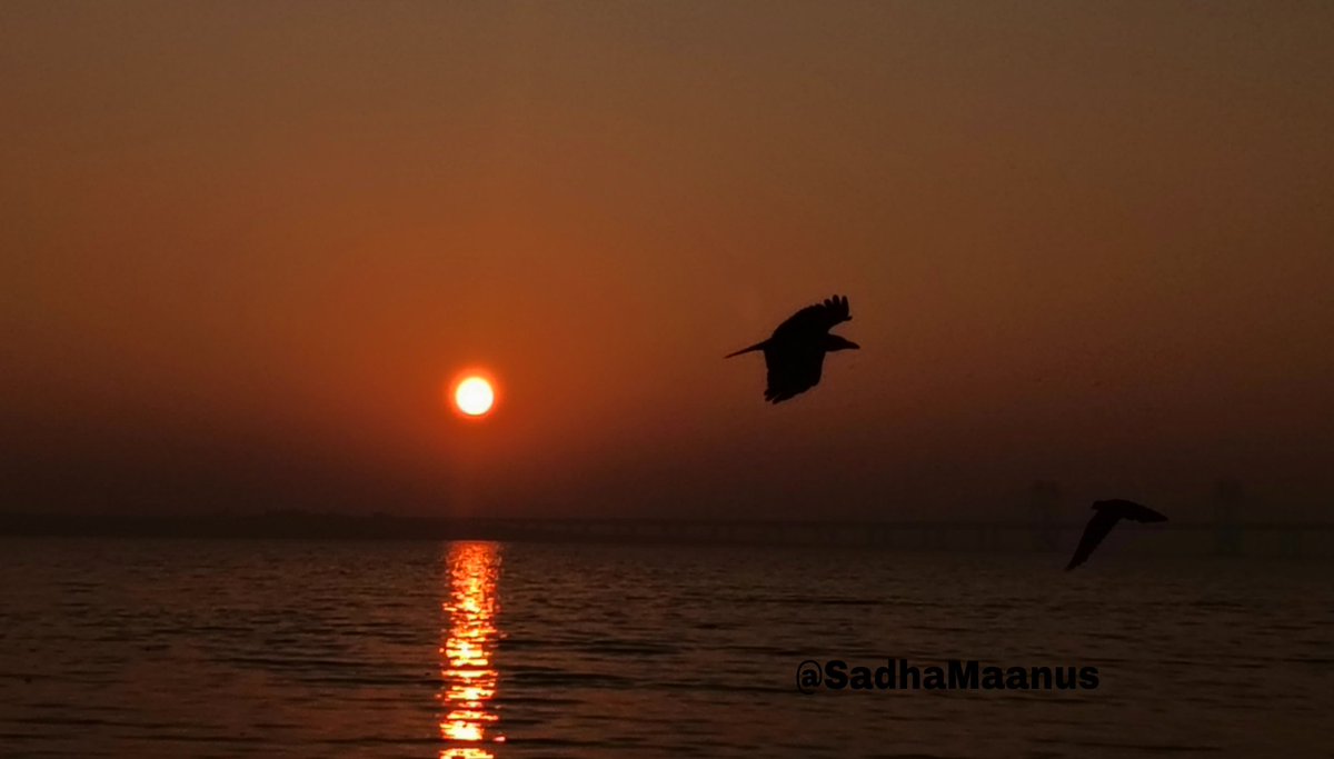 SadhaMaanus's tweet photo. Photographers, show us your most recent shots...l!!
#Sunsets
#Mumbai
#SadhaMaanusClicks https://t.co/PQet4LcMj2